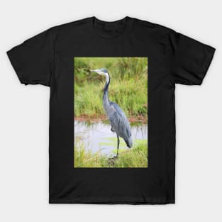 Blue or Black-headed Heron, Kenya T-Shirt